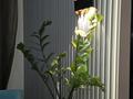 3-бөлмелі пәтер · 60 м² · 3/3 қабат, Монтажная — Майлина, бағасы: 43 млн ₸ в Алматы, Турксибский р-н — фото 21