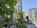 2-комнатная квартира · 59 м² · 4/10 этаж, мкр Шугыла, Мкр. Шугыла 340/3к1 за 270 000 ₸ в Алматы, Наурызбайский р-н — фото 17