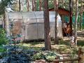 Отдельный дом · 5 комнат · 200 м² · 20 сот., База отдыха радуга — 27 км урицкой трассы за 90 млн ₸ в Костанае — фото 13