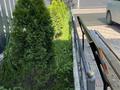 Отдельный дом · 4 комнаты · 80 м² · 10 сот., Толебаева 13 — Алтын Емел за 37 млн ₸ в  — фото 18