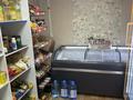 Магазин · 20 м² за 2 млн ₸ в Астане, Сарыарка р-н — фото 2