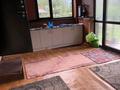 Отдельный дом · 7 комнат · 200 м² · 11 сот., Вишневая 258 за 40 млн ₸ в Каскелене — фото 10