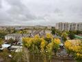 1-комнатная квартира · 42 м² · 9 этаж, улица Генерала Дюсенова 2/2 за 21 000 ₸ в Павлодаре — фото 21