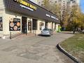 Свободное назначение, магазины и бутики, склады, общепит · 750 м² за 550 млн ₸ в Алматы, Алмалинский р-н — фото 8