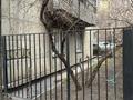 3-комнатная квартира · 75 м² · 1/4 этаж, Шарипова 32 за 59 млн ₸ в Алматы, Алмалинский р-н — фото 12