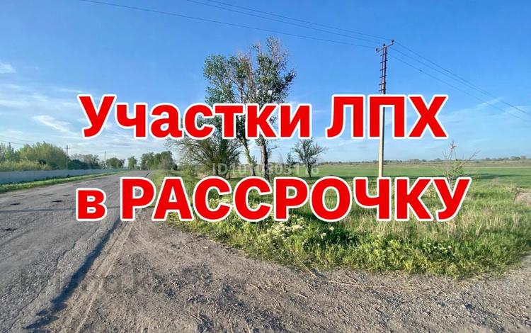 Участок · 5 соток, Кендала за 5.5 млн ₸ — фото 14