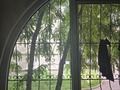 3-комнатная квартира · 81.3 м² · 1/5 этаж, мкр Мамыр-2 — По шаляпина между саина и момышулы за 60 млн ₸ в Алматы, Ауэзовский р-н — фото 30