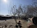 Жер телімі · 13 сотық, Школьная — Чапаевский поворот, бағасы: 23 млн ₸ в Комсомоле — фото 5