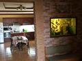 Жеке үй · 6 бөлме · 300 м² · 8 жүзд., Шанхай ш/а., Рыскулова 128, бағасы: 68 млн ₸ в Актобе, мкр Шанхай — фото 3