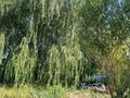 Бани, гостиницы и зоны отдыха · 200 м² за 86 млн ₸ в Куйгане — фото 18