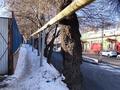 Участок · 1 сотка, мкр Тау Самал, Ладушкина 119 — Оспанова за 27 млн ₸ в Алматы, Медеуский р-н — фото 8