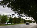 Отдельный дом · 7 комнат · 290 м² · 10 сот., мкр Самал-2 — ул. Аргынбекова 44 за 150 млн ₸ в Шымкенте, Абайский р-н — фото 3