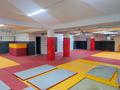 Свободное назначение · 240 м² за 600 000 ₸ в Алматы, Медеуский р-н — фото 13