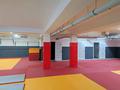 Свободное назначение · 240 м² за 600 000 ₸ в Алматы, Медеуский р-н — фото 4
