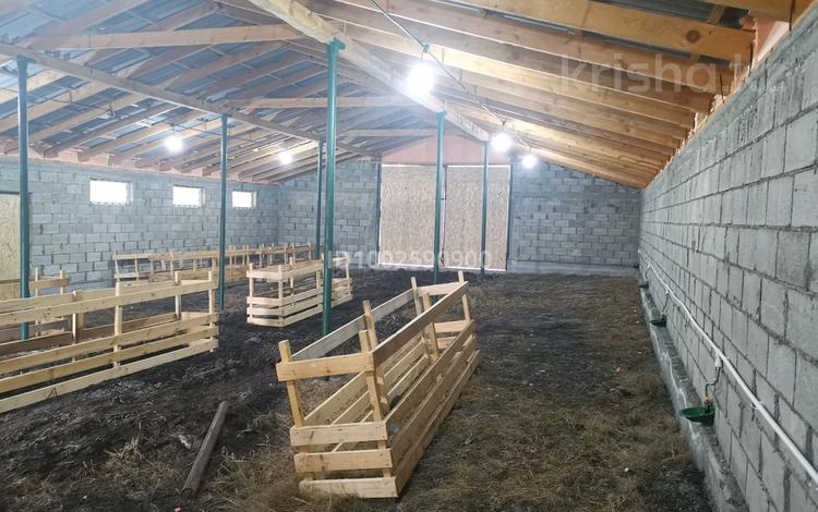 Жеке үй · 3 бөлме · 50 м² · 50 сот., Коктерек, бағасы: 25 млн ₸ в  — фото 26
