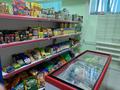 Магазины и бутики • 80 м² за 15.5 млн 〒 в Косшы — фото 6