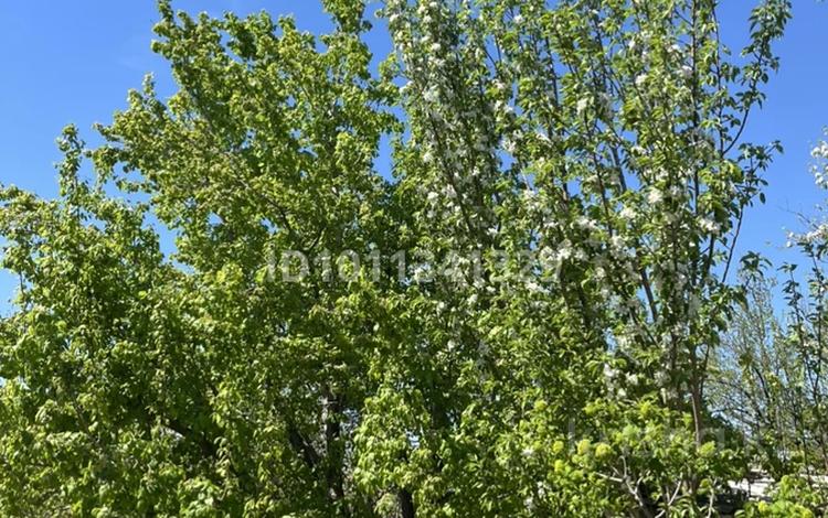 Саяжай · 2 бөлме · 42 м² · 21 жүзд., Аэрофлот 96 — Пмк29, бағасы: 4.2 млн ₸ в  — фото 2