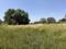 Участок · 7.6 соток, Акжибек за 10 млн ₸ в Бельбулаке (Мичурино)