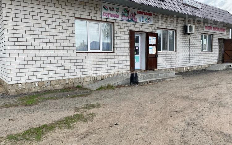 Еркін, кеңселер, дүкендер мен бутиктер, қоймалар, жқб, автосервистер мен көлік жуу, қоғамдық тамақтану орны, сұлулық салондары · 200 м², бағасы: 25 млн ₸ в  — фото 6