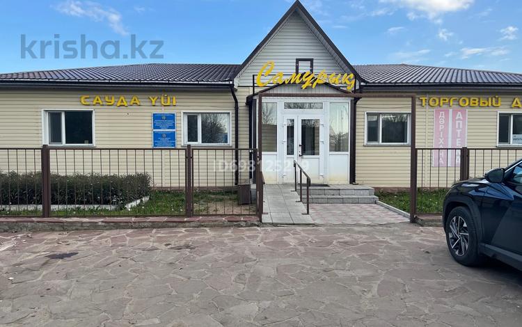 Еркін, кеңселер, дүкендер мен бутиктер, қоймалар, сұлулық салондары, медорталықтар мен дәріханалар, білім орталықтары · 458 м², бағасы: 65 млн ₸ в  — фото 17