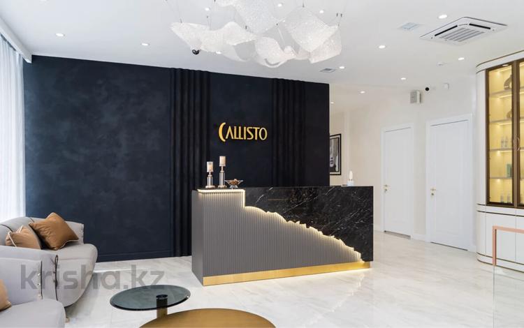 Офисы, салоны красоты, бани, гостиницы и зоны отдыха, медцентры и аптеки · 440 м² за 490 млн 〒 в Астане, Есильский р-н — фото 19