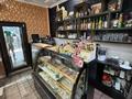 Свободное назначение, офисы, магазины и бутики, общепит · 43 м² за 600 000 ₸ в Алматы, Алмалинский р-н — фото 5