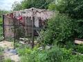 Дача · 1 комната · 42 м² · 8 сот., Звёздная за 2 млн ₸ в Усть-Каменогорске, Ахмирово — фото 13