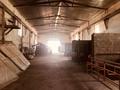 Свободное назначение, склады, сельское хозяйство · 600 м² за 1.2 млн ₸ в Кызылжар — фото 6