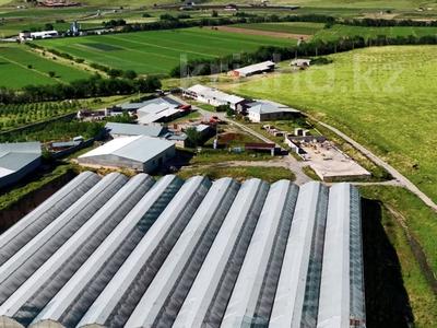 Свободное назначение, склады, сельское хозяйство · 12000 м² за 220 млн ₸ в Шымкенте, Каратауский р-н