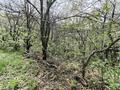 Отдельный дом · 2 комнаты · 33.6 м² · 20 сот., Момышулы 1 за 52 млн ₸ в Байбулаке — фото 5