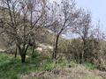 Отдельный дом · 2 комнаты · 33.6 м² · 20 сот., Момышулы 1 за 52 млн ₸ в Байбулаке — фото 6