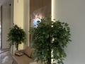2-комнатная квартира · 45.3 м² · 11/12 этаж, мкр Акжар, Белжайлау 47а за 37 млн ₸ в Алматы, Наурызбайский р-н — фото 3