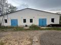 Сельское хозяйство · 5000 м² за 250 млн ₸ в Шымкенте, Енбекшинский р-н — фото 15