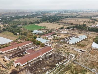 Сельское хозяйство · 5000 м² за 250 млн 〒 в Шымкенте, Енбекшинский р-н