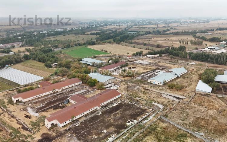 Сельское хозяйство · 5000 м² за 250 млн ₸ в Шымкенте, Енбекшинский р-н — фото 19