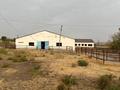 Сельское хозяйство · 5000 м² за 250 млн ₸ в Шымкенте, Енбекшинский р-н — фото 13