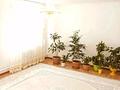 Жеке үй · 4 бөлме · 140 м² · 10 жүзд., Астана 117 — Смп-615, бағасы: 25 млн ₸ в Кульсары — фото 4