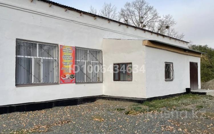Общепит, развлечения · 231 м² за 20 млн ₸ в Петровка — фото 2