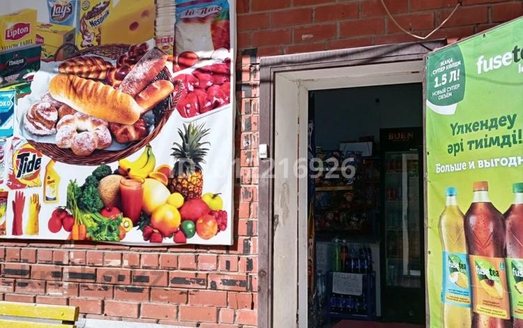 Продуктовый магазин · 84 м² за 12 млн ₸ в Астане, Алматы р-н — фото 2