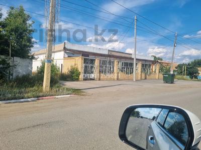Еркін · 450 м², бағасы: 450 000 ₸ в Денисовке