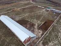 Сельское хозяйство • 1 м² за 60 млн 〒 в Жамбылской обл.