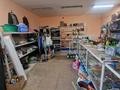 Магазины и бутики · 101 м² за 7 млн ₸ в Тарханка — фото 5