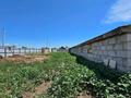Сельское хозяйство · 65 м² за 18.5 млн ₸ в Семее — фото 6