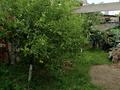 Отдельный дом · 8 комнат · 250 м² · 6 сот., Токатаева 107 — В центре города, возле Управления полиции города Есик за 55 млн ₸ — фото 12
