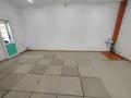 Свободное назначение, магазины и бутики · 57 м² за 26.4 млн ₸ в Усть-Каменогорске — фото 8
