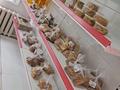 Продаётся готовый продуктовый бизнес "Актау ГОСТ " · 60 м², бағасы: 20 млн ₸ в 11-й мкр — фото 6
