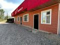 Жеке үй · 5 бөлме · 120 м² · 10 жүзд., Кулагер 26, бағасы: 55 млн ₸ в Талдыбулаке — фото 9