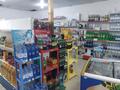 Магазины и бутики • 180 м² за 20 млн 〒 в Таразе — фото 18