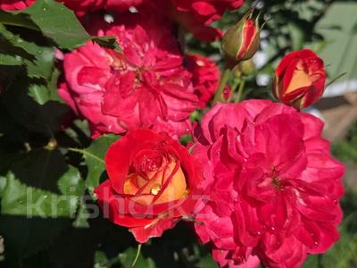 Үйдің бір бөлігі · 3 бөлме · 70 м² · 2.2 жүзд., Рыскулова 146 — Крылова, бағасы: 25 млн ₸ в Алматы, Жетысуский р-н