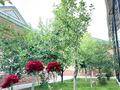 Отдельный дом · 7 комнат · 320 м² · 8 сот., мкр Северо-Запад, Тарақтас 125 — Өтегенова көшесінің қиылысындағы Тарақтас көшесінде орналасқан. за 87 млн ₸ в Шымкенте, Абайский р-н — фото 39